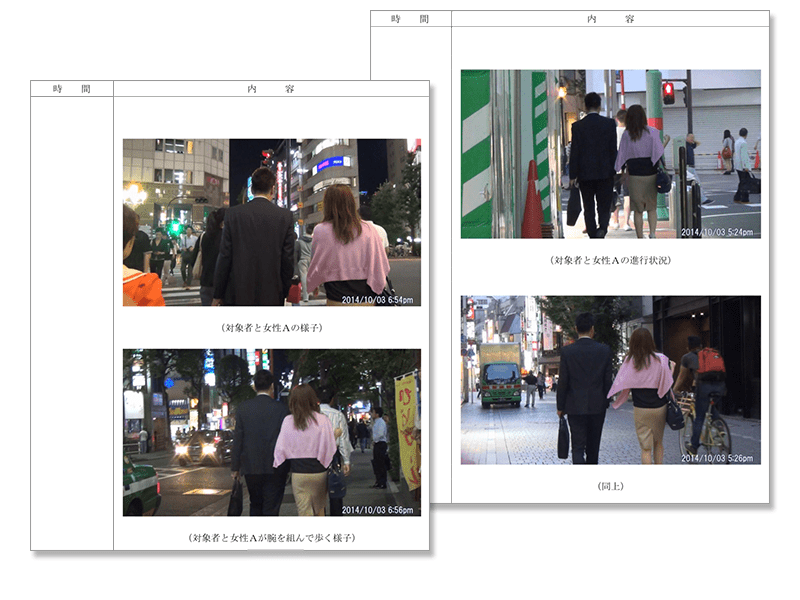 調査報告書イメージ画像2枚目