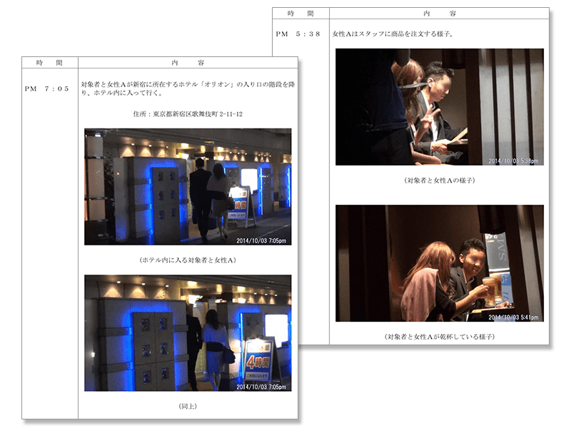 調査報告書イメージ画像3枚目